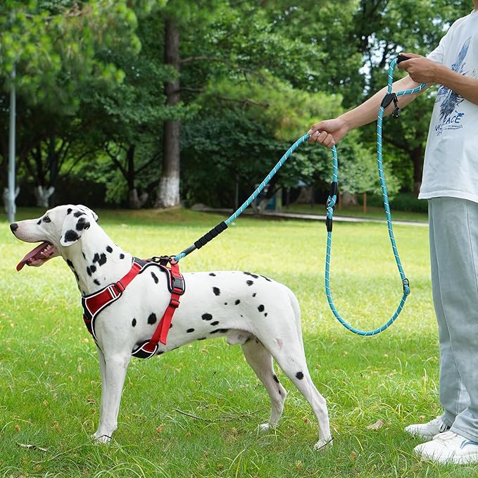 Cymiler Hands Free Dog Leash, 8 Ft Reflective Cross-Body Pet Rope Leashes with Sponge Handle, Heavy Duty Nylon, for Running, Hiking, Training, Waist Leash for Small Medium Large Dogs (Blue)