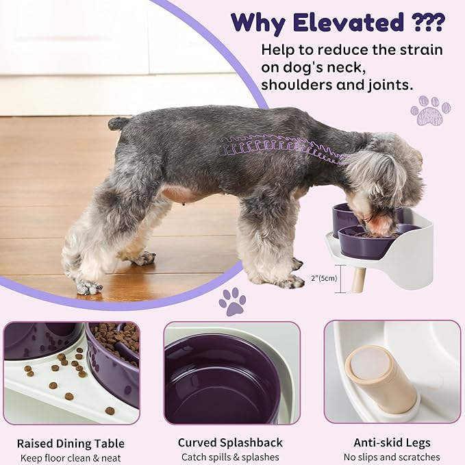Elevated Slow Feeder Dog Bowls - Ceramic Food and Water Bowl Set with Stand - Raised Pet Dishes for Small and Medium Sized Dogs