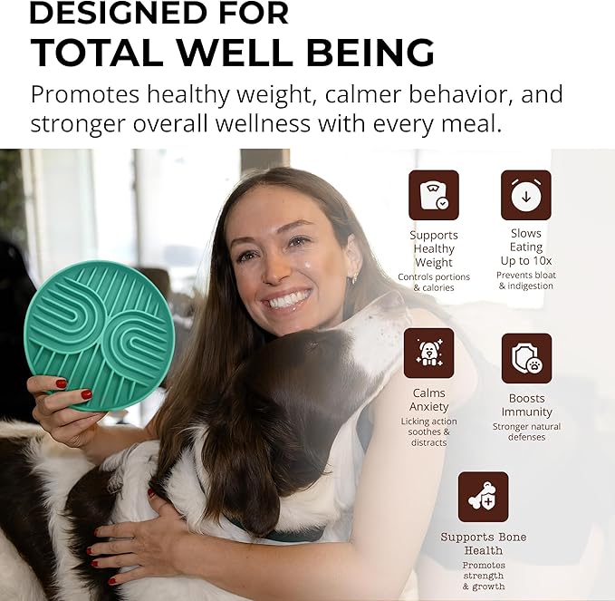 Slow Feeder Dog Bowls, Dishwasher Safe, Non-Slip Base, BPA-Free Slow Eating Dog Bowl (Sage, 2-Pack)