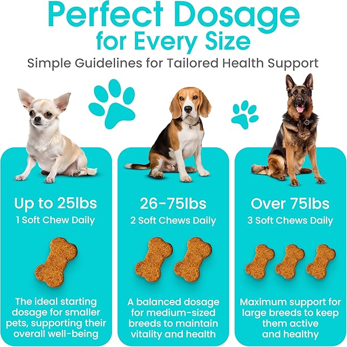 Anti-Aging Dog Supplement – Soft Chews for Senior Dogs with NAD+ Support from Nicotinamide Riboside, Omega-3, Amino Acids, Probiotics – Brain, Joint & Immune Health – Bacon Flavor – 100 Count