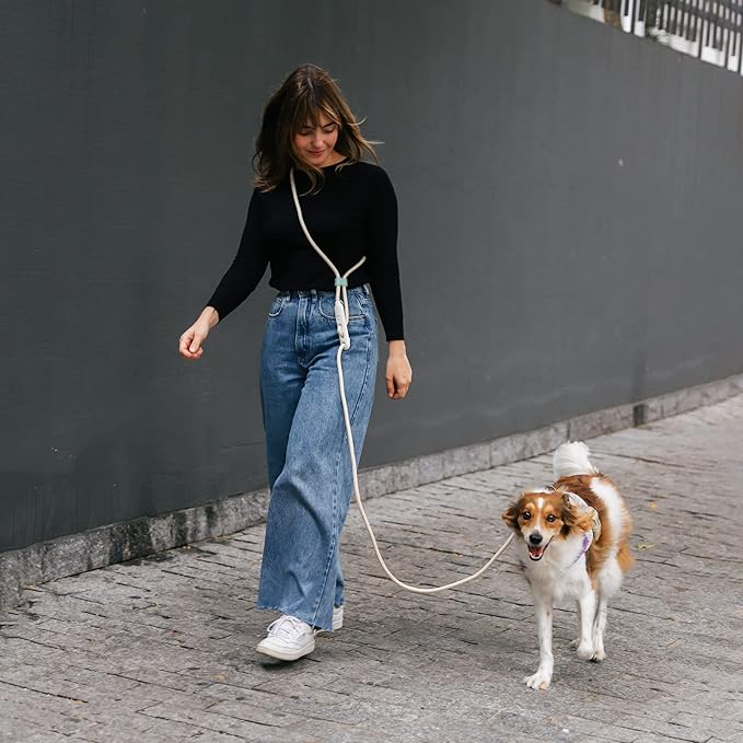 Andromeda 4-in-1 Hands-Free Dog Leash – Adjustable for Crossbody, Waist, Long Leash, or Tether Use – Stylish, Lightweight, and Comfortable for Everyday Walks