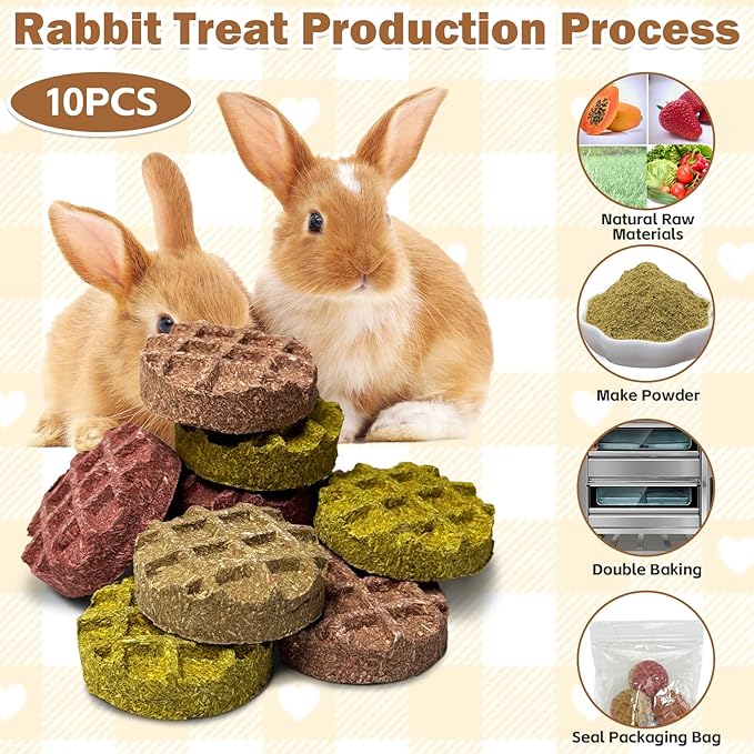 PINVNBY 10PCS Bunny Chew Toys Small Animal Molar Snacks for Teeth Rabbit Treats for Hamster, Chinchilla, Guinea Pig, Squirrels, Gerbils and Small Animals