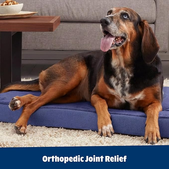 Barkbox Orthopedic Dog Bed | Comfortable Memory Foam Mattress for Joint Relief | Head and Neck Support Waterproof with Non Skid Bottom | Calming Durable Bed with Washable Cover | Small, Navy