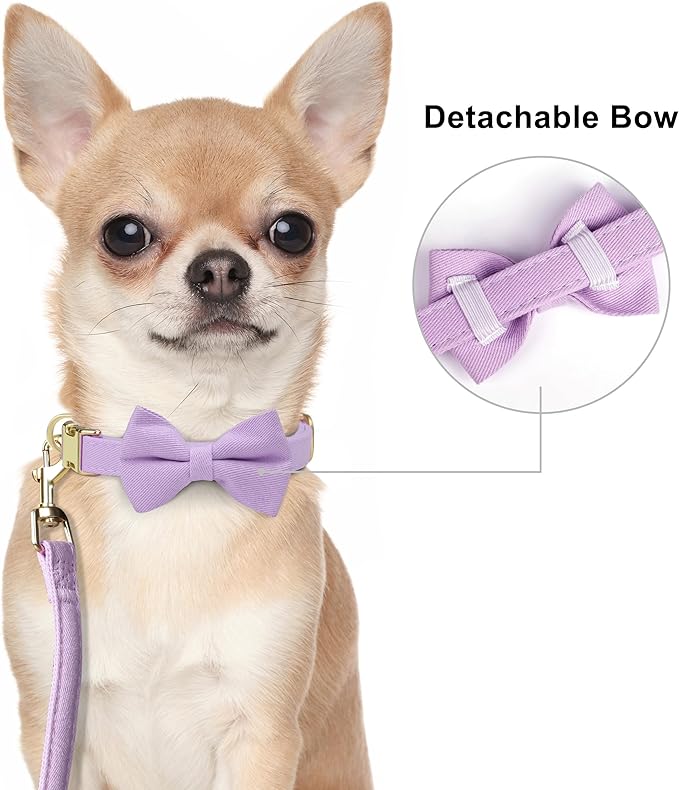 Beirui Cute XXS Dog Harness Set with Three Detachable Bows, Adjustable Step in Dog Harness Collar and Leash Set with Secure Metal Buckle for Daily Walking, Parties & Holiday Outfits(Purple,XXS)