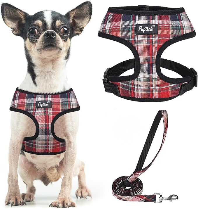 PUPTECK Soft Mesh Dog Harness and Leash Set Pet Puppy Cat Comfort Padded Vest No Pull Harnesses, Red Mixed, XS