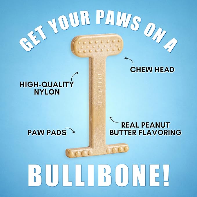 Bullibone Nylon Dog Chew Toy for Aggressive Chewers - Dental Hygiene Bone with Peanut Butter Flavor, Durable Tough Chew Toys for Extra Large Dogs, Indestructible Dog Bone - Single
