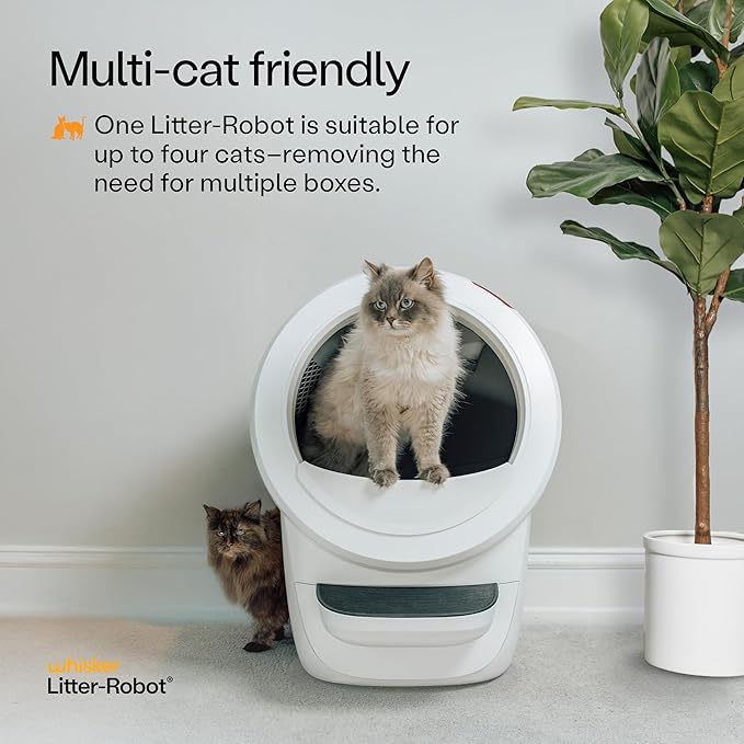 Litter-Robot 4 Supply & Accessory Bundle by Whisker, White- Automatic Self-Cleaning Cat Litter Box, Includes Litter-Robot 4, Ramp, Mat, 3 OdorTrap Packs, 10 Liners, 30 Wipes, & 2 Carbon Filters