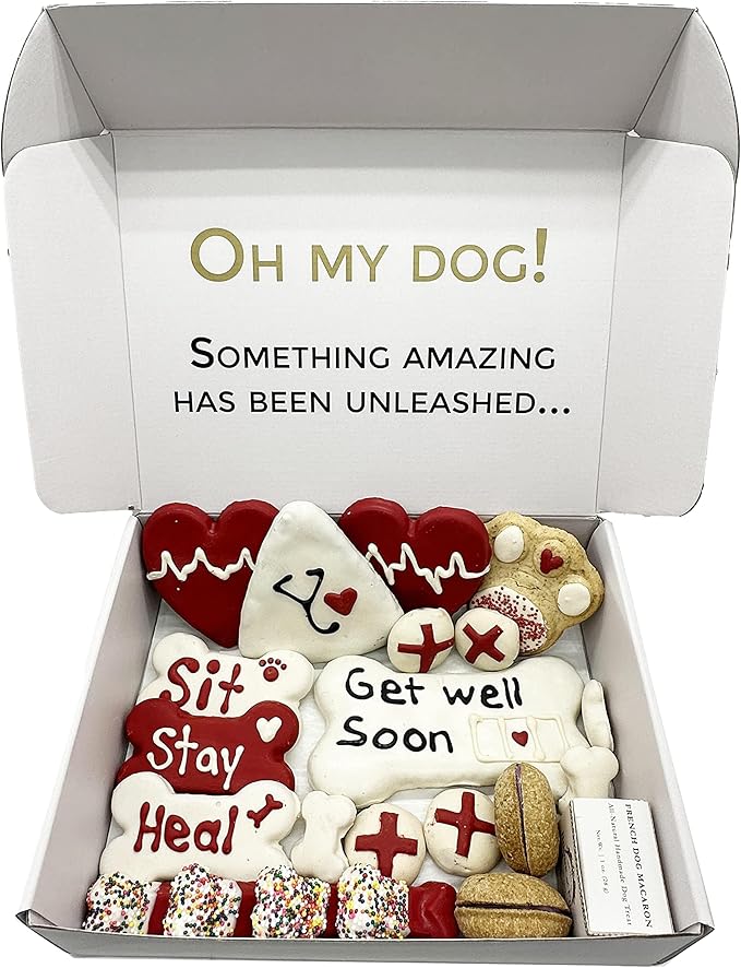 Bonne et Filou Get Well Soon Dog Treats, Gourmet Gift Box, 21 Luxury Macarons, Truffles & Bone Cookies, Healthy & Delicious Snacks for Medium to Large Dogs