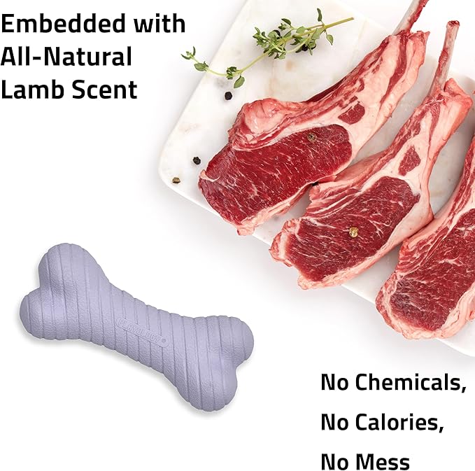 Playology Dog Toys | Dual Layer Bone Durable Chew Toy Bone for Dogs | Medium Lamb Scented Toy - Easy to Clean and Made from Non Toxic Materials