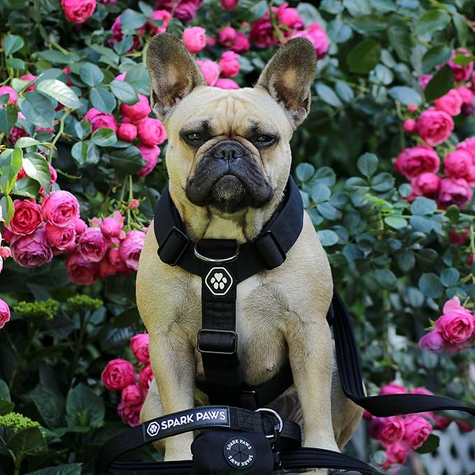 Spark Paws No Pull Dog Harness for Large Dogs, Heavy Duty Dog Harness for Big Strong Breeds, Adjustable, Y Shaped Padded Halter Design with Front Clip - Black - S