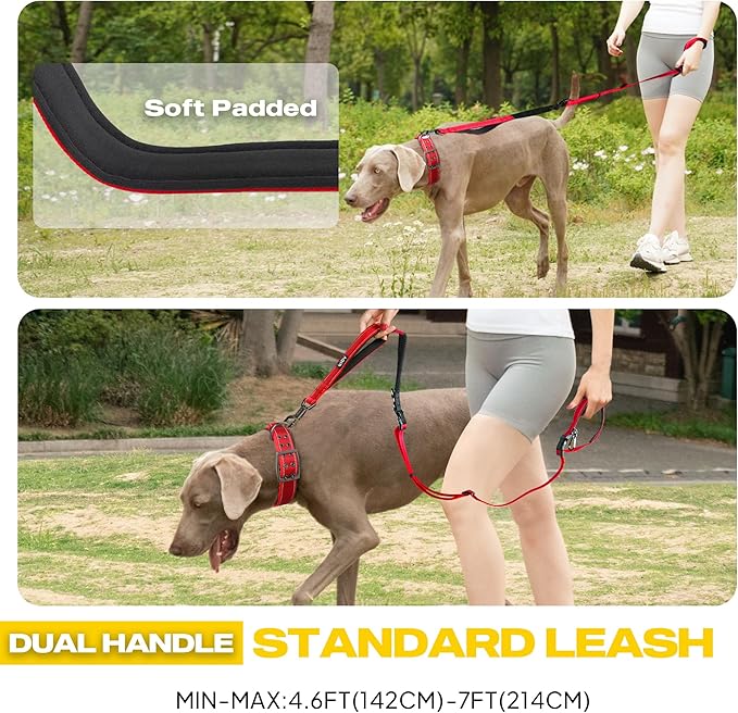 Fida 6-in-1 Hands Free Dog Leash Heavy Duty, Reflective Wasit Corssbody Dog Leash with Car Seat Clip | Adjustable for Running Hiking | Shock Absorbing Bungee, Dual Padded Detachable Handles (Red)