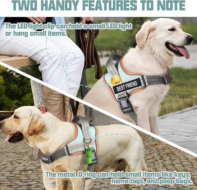 AUROTH Dog Harness and Leash Set, Soft Padded Dog Vest with 5.25FT Dog Leash, No Choke, Easy On Pet Vest, Adjustable Reflective No Pull Dog Harness for Large Dogs, Easy Walking and Training