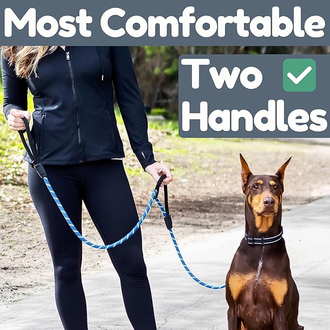 6 Foot Dog Leash, Two Extra Padded Handles, Locking Carabiner Clip, Reflective for Night Visibility, Weatherproof, Heavy Duty Rope Leash, Roam Gear (Blue)