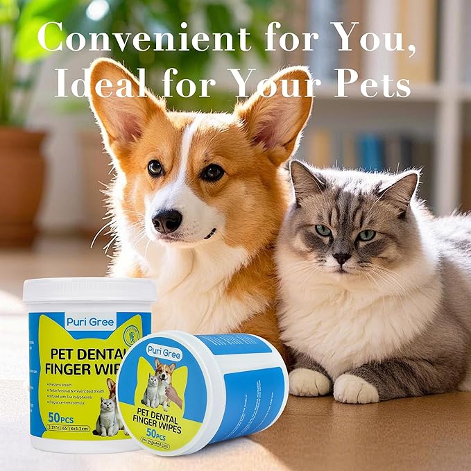 Teeth Cleaning Wipes for Dogs & Cats, Dog Dental Care Finger Wipes, Dog Tooth Brushing Kit, Reduces Plaque,Disposable Dog Wipes-50 Count