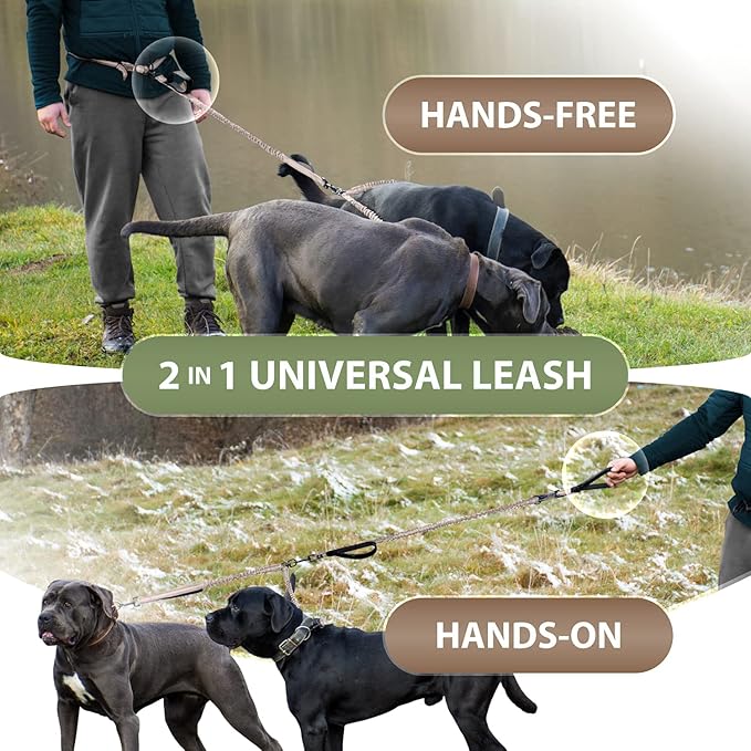 SparklyPets Hands Free Double Dog Leash – Dual Leash for Medium and Large Breeds – Lead for 2 Dogs with Padded Handles, Reflective Stitches, No Pull, Tangle Free (Brown)