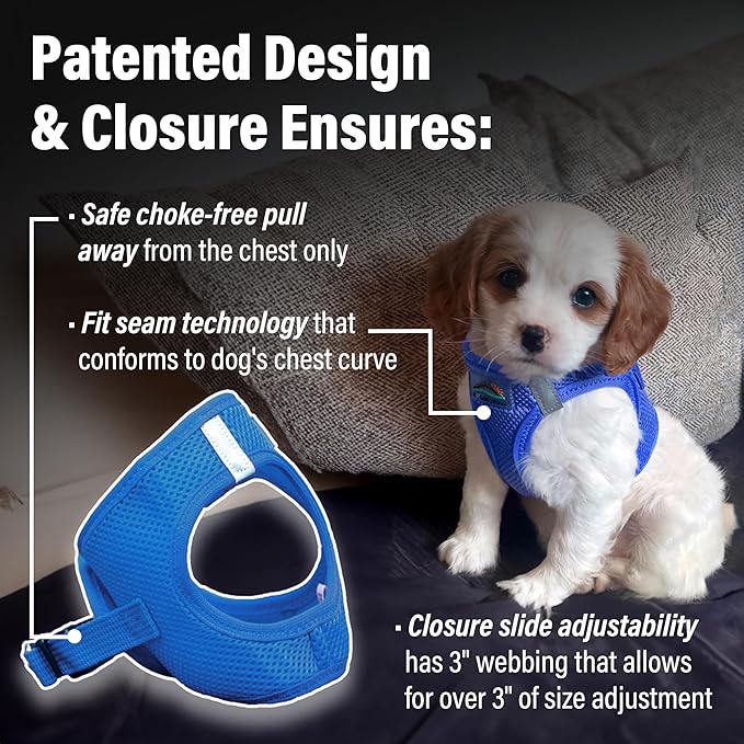 Doggie Design Dog Harness - No Choke Dog Harness, Dog Vest, Mesh Polyester, Pet Harness, Simple Step in and Go Design, Harness for Dog - Cobalt Blue, XXS