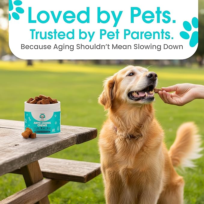 Anti-Aging Dog Supplement – Soft Chews for Senior Dogs with NAD+ Support from Nicotinamide Riboside, Omega-3, Amino Acids, Probiotics – Brain, Joint & Immune Health – Bacon Flavor – 100 Count