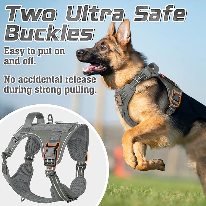 rabbitgoo Tactical Dog Harness Medium Sized Dog, No Pull Military Service Vest with Handle & Molle, Easy Control for Training Walking, Adjustable Reflective Straps, Dark Grey, M