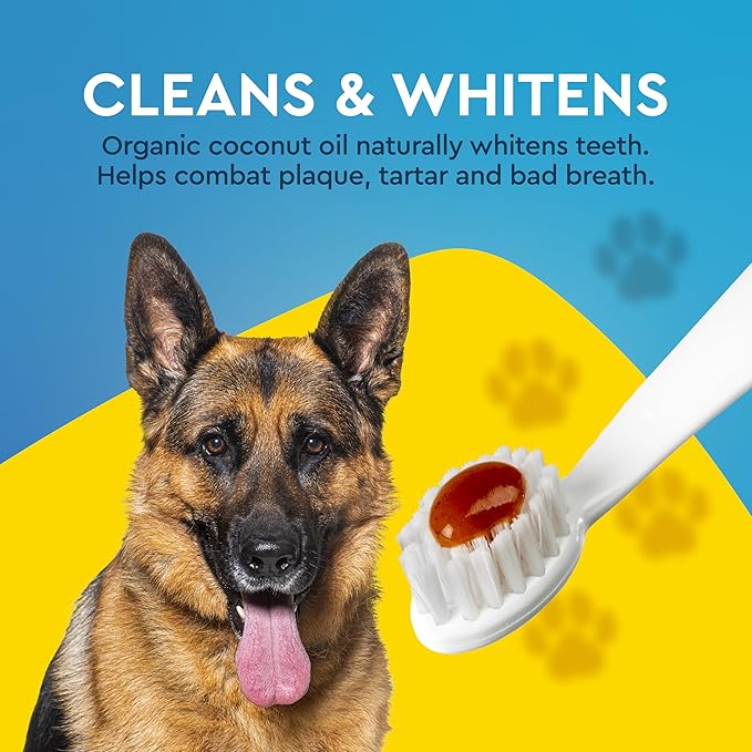 RADIUS USDA Organic Canine Pet Toothpaste 1 Unit, 3 oz, Non Toxic Toothpaste for Dogs, Designed to Clean Teeth and Help Prevent Tartar and Remove Plaque, Xylitol Free