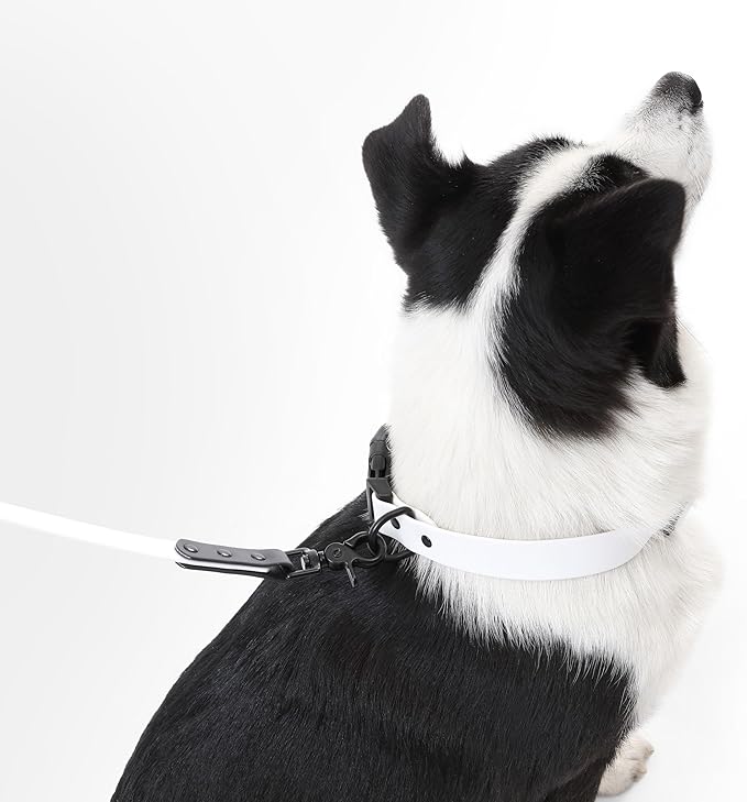 WLK1006F-5SET Luna Large 8FT Adjustable 6-in-1 Waterproof Hands-Free Leash and Collar with LED Flashlight, Bag Dispenser, and Poop Bag Holder, Seltzer