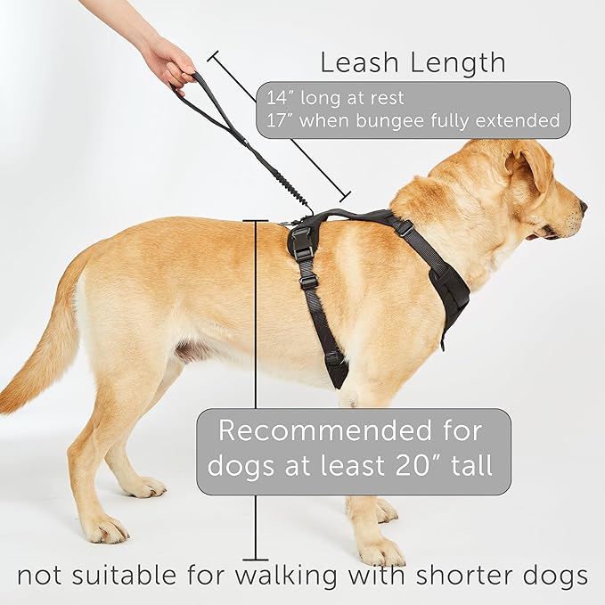 TUG Grab Dog Harness | Integrated Traffic Leash Magnetically Attached for Quick Control (Large/Cream)