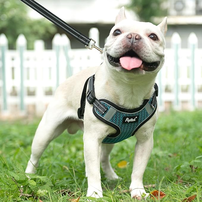 PUPTECK Dog Harness and Leash Set Small Sized, Step in No Pull Adjustable Puppy Cat Harness Reflective Pet Vest
