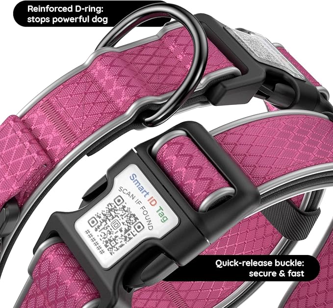 AirTag Dog Collar with QR Code ID & Waterproof Holder - Reflective, Durable Padded Oxford Collar Compatible with Apple AirTags for Large Dogs (Rose Red, L)
