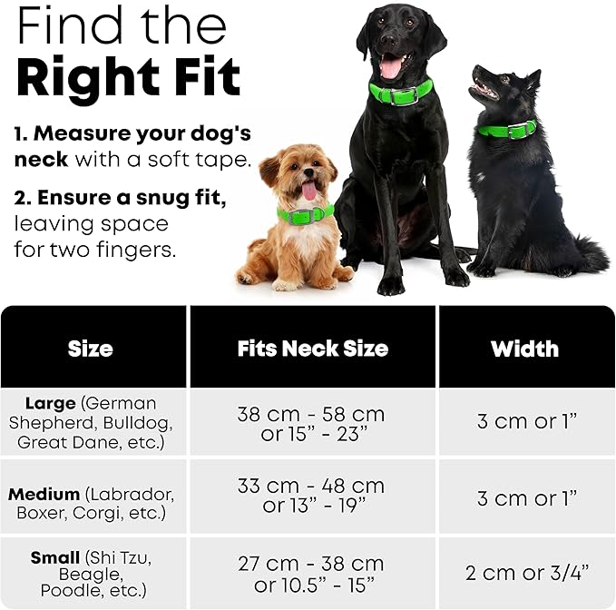 Regal Dog Products Large Lime Green with Custom Engraved Reflective Dog Collar and Leash Set | Waterproof Dog Collar with D Ring | Center Ring & 5'ft Leash | Matching Dog Collar and Leash for Dogs