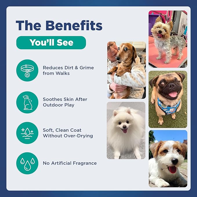 Hypoallergenic Flea and Tick Relief 16.9oz Dog Shampoo for Sensitive Skin Mite Me Not Formula for Itchy and Dry Coats Deep Cleansing and Moisturizing Pet Wash for Dogs and Puppies 500ml