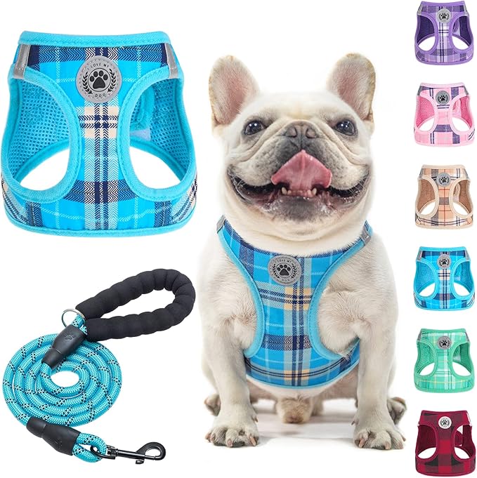 BEAUTYZOO Small Dog Harness and Leash Set,Step in No Choke No Pull Soft Mesh Dog Harnesses Reflective for Extra-Small/Small Medium Puppy Dogs and Cats, Plaid Dog Vest Harness for XS S Pets, Blue L