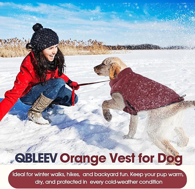 QBLEEV Reversible Dog Coat for Small Dogs, Waterproof Windproof Winter Jacket Keeps Small Breeds Warm & Dry, Lightweight Adjustable Puffer Vest with Leash Hole, Wine Red, XS – Fits Chihuahua, Yorkie
