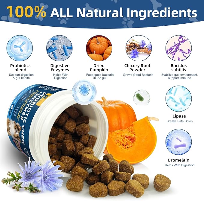 Probiotics for Dogs with Enzymes & Fiber Blend Supports Gut Health, Yeast Balance, Allergies, Itchy Skin, Boost Immune - Natural Probiotic Supplement for Digestive, Diarrhea, Gas, Constipation,120Ct