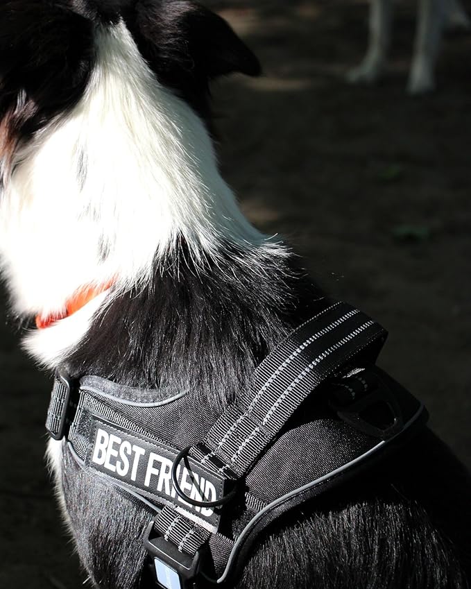 AUROTH Dog Harness and Leash Set, Soft Padded Dog Vest with 5.25FT Dog Leash, No Choke, Easy On Pet Vest, Adjustable Reflective No Pull Dog Harness for Large Dogs, Easy Walking and Training