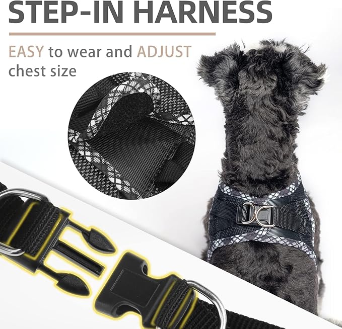 PUPTECK Dog Harness and Leash Set for Small Medium Dogs No Pull Step-in Soft Mesh Puppy Cat Vest Harnesses Reflective at Night, Black XS
