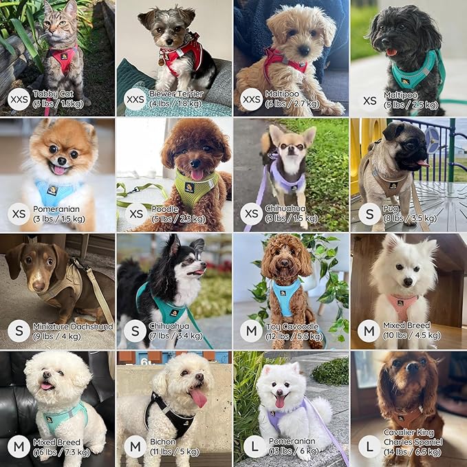 BELLA & PAL Step in Vest Harness for Small and Medium Dogs, No Pull Puppy Harness with Leash Set, Comfortable Air Mesh Dogs Vest Harness with Reflective Strip (Mokka, XS)