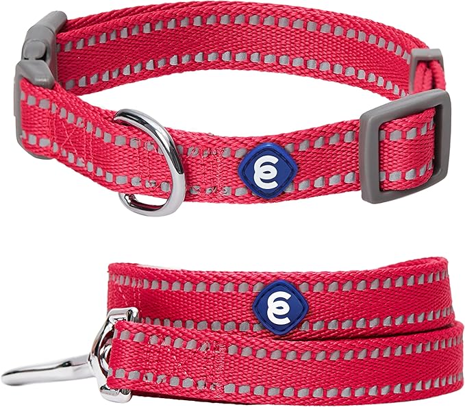 Blueberry Pet Essentials Reflective Dog Collar & Leash Set, Adjustable for Large Dogs | Safe Walking Gear for Pet Parents, Puppy Training & Daily Use LargeDogs, Very Berry