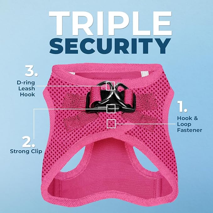 Voyager Step-in Air All Weather Mesh Harness and Reflective Dog 5 ft Leash Combo with Neoprene Handle, for Small, Medium and Large Breed Puppies by Best Pet Supplies - Set (Fuchsia), M