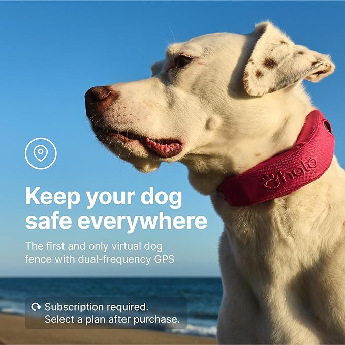 Halo Collar 4, GPS Wireless Dog Fence & Dog Training Collar with GPS Tracker, Subscription Required, Waterproof, Orchid, One Size