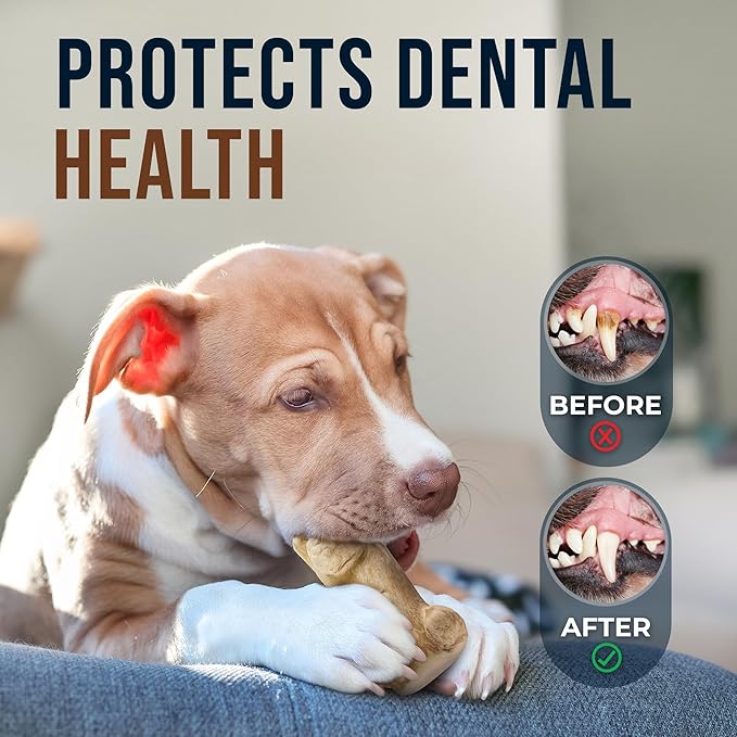 Gorilla Wood Dog Chew Toys - 100% Natural, Wood Chews for Dogs - Stress Relief, Teeth Cleaning & Reducing Boredom, Wood Dog Toy for Medium & Large Dogs