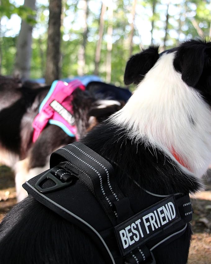 AUROTH Dog Harness and Leash Set, Soft Padded Dog Vest with 5.25FT Dog Leash, No Choke, Easy On Pet Vest, Adjustable Reflective No Pull Dog Harness for Large Dogs, Easy Walking and Training