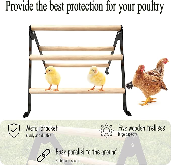 Baby Chick Perch Toys for Coop, Metal Stand with Natural Wooden Roosting Bars,Angle-Adjustable Chicken Coop Toys, Birds Training Platform for Cockatiels, Lovebirds and Parrot,15.7"L x 17.7"W x 13.2"H