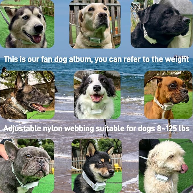 Shock Collar for 2Dogs [CRS01Pro]126 Training Levels, 4 Powerful Modes With 2.8-inch LCD high-definition display100% Safe Training Collar for Large Medium Small Dogs IPX7 Waterproof E Collar