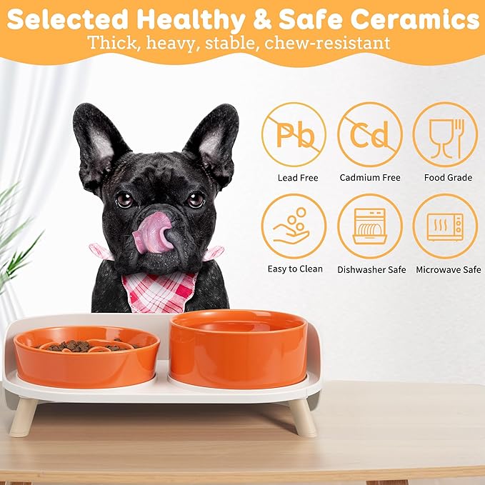 Elevated Slow Feeder Dog Bowls - Ceramic Food and Water Bowl Set with Stand - Raised Pet Dishes for Small and Medium Sized Dogs