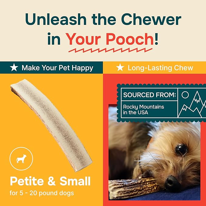 100% Natural - Antlers for Dogs ( Split ) - Naturally Shed in USA - Grade A Long Lasting Chew for Aggressive Chewers - Elk Antlers Dog Antler Chews - Real, Treats & Toys - No Odor & No Mess - Small