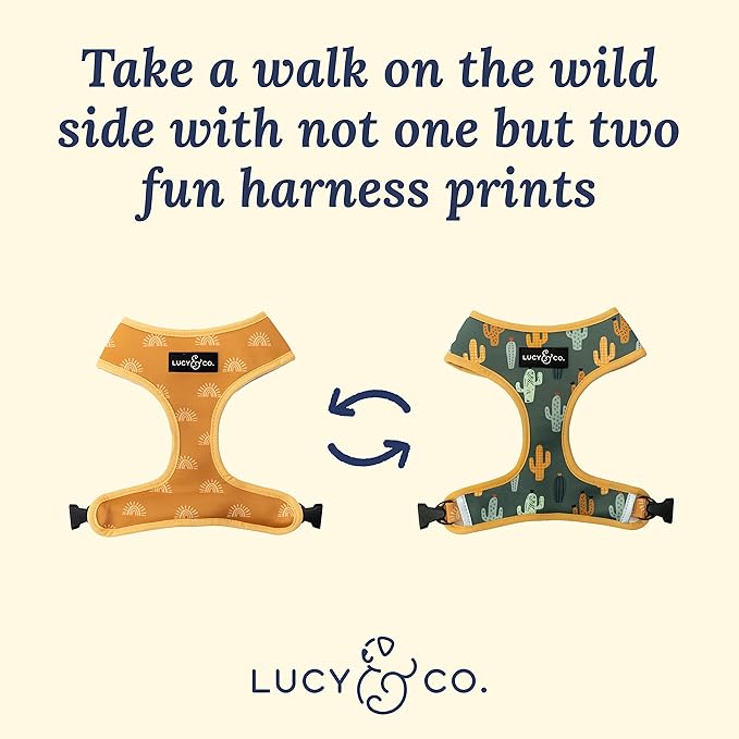 Lucy & Co. Looking Sharp, Cute Reversible Dog Harness Walking Halter - Best Designer Pet Harnesses for Medium Dogs - Padded Adjustable Vest for Easy Walking (Small)