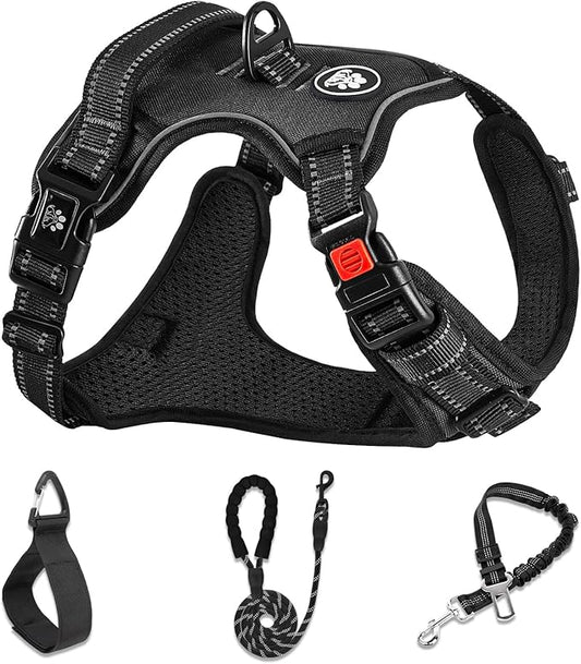 NESTROAD No Pull Dog Harness,Adjustable Oxford Dog Vest Harness with Leash,Reflective No-Choke Pet Harness with Easy Control Soft Handle for Small Dogs(Small,Black)