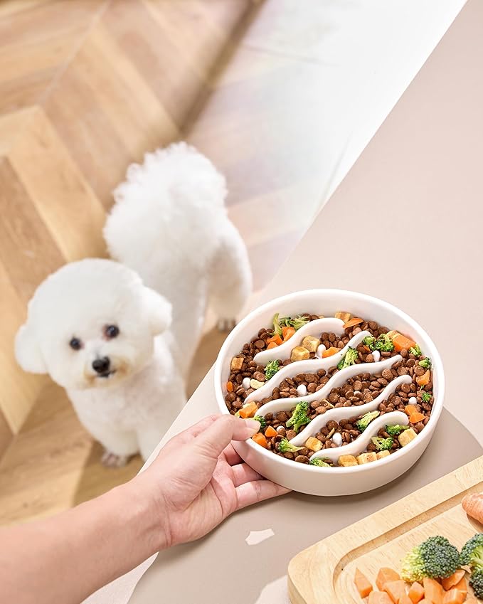 Ceramic Slow Feeder Dog Bowls for Medium and Large Dogs, 2.0 Cups Dog Slow Feeder for Fast Eater, 30oz, 8in, White