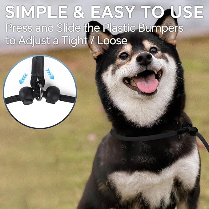 QQPETS Adjustable Slip Lead Dog Leash, Hands Free Waist Leash for Dog Walking, Reflective Training Lead with 360° Swivel Anti-Tangle, 4-7 ft Length for All Breeds