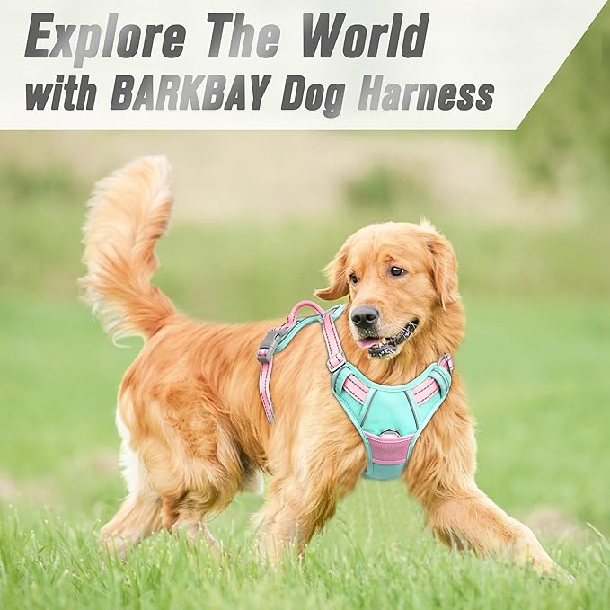 BARKBAY No Pull Dog Harness Front Clip Heavy Duty Reflective Easy Control Handle for Large Dog Walking(Cool Mint & Baby Pink,XL)