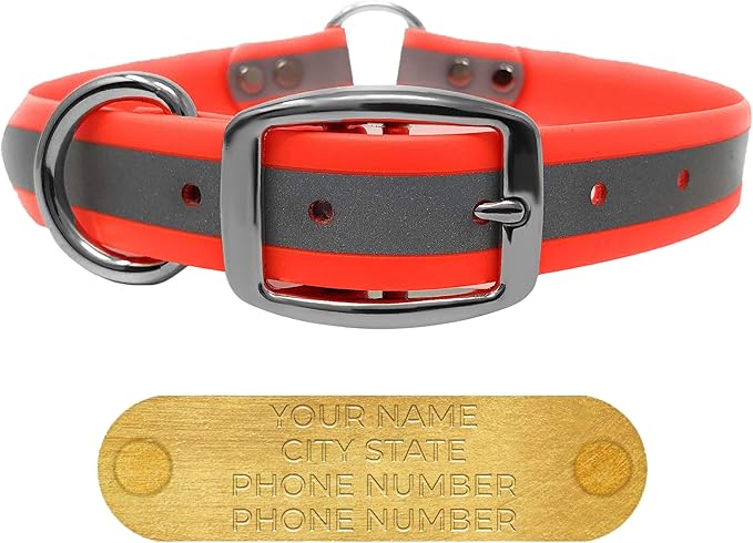 Regal Dog Products Medium Orange Reflective Dog Collar with Custom Engraved Name Plate and Heavy Duty Center Ring | Waterproof Biothane Personalized Dog Collars - Other Sizes for Small & Large Dogs